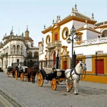 Casa Rural Villa Mara. La Puebla de los Infantes. Sevilla. COCHE CABALLOS EN LA PLAZA DE TOROS LA MAESTRANZA, visitable. a 60 minutos en coche.SEVILLA